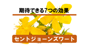 【徹底解説】セントジョーンズワートに期待できる効果を分析してみた